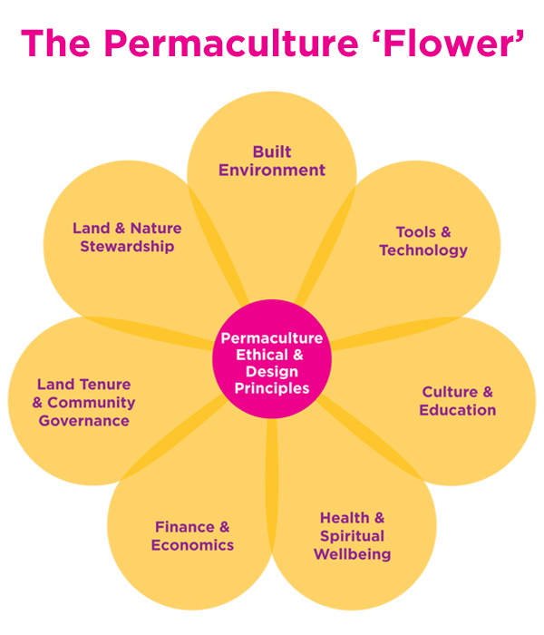 Permaculture pioneer David Holmgren likens the system to a flower, with individual disciplines, the "petals," connected at the centre by a unified philosophy of sustainable design.