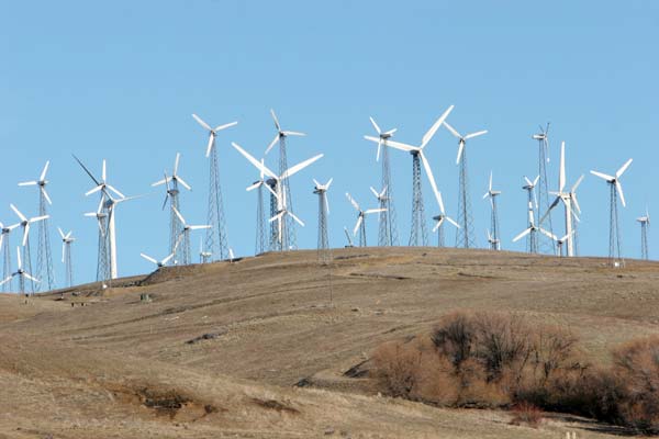 Could wind turbines like these be harmful to your health? The scientific consensus is far from clear.
