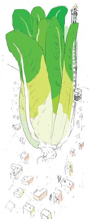 How to get local produce in the city? Look up. Illustration by Peter Mitchell.