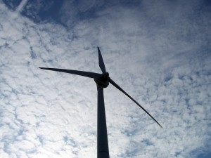 Demonstration wind turbine in Toronto. Ontario wind power installations will be the first to shut down when conservation measures are successful, This Magazine has learned. Creative Commons photo by Flickr user Diego_3336.