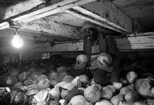 "Mike Clive, from Jamaica, Stacking Cabbage, Waterford, Ontario" (1987) by Vincenzo Pietropaolo. Image courtesy the artist.