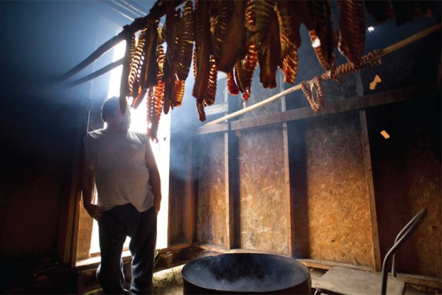 Lake Athabasca fish being smoked.