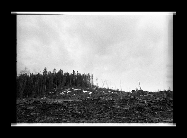 Forest near Grassy Narrows First Nation adjacent to a clear cut site. Photo by Jon Schledewitz.
