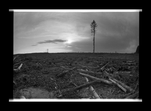 Remnants of a clear cut logging operation near Grassy Narrows, Ontario. Photo by Jon Schledewitz.