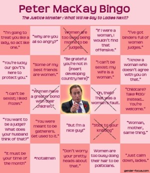 Peter MacKay Bingo from Gender Focus