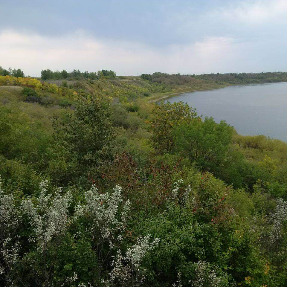 17352309_1329976533736690_27197797351833068_n