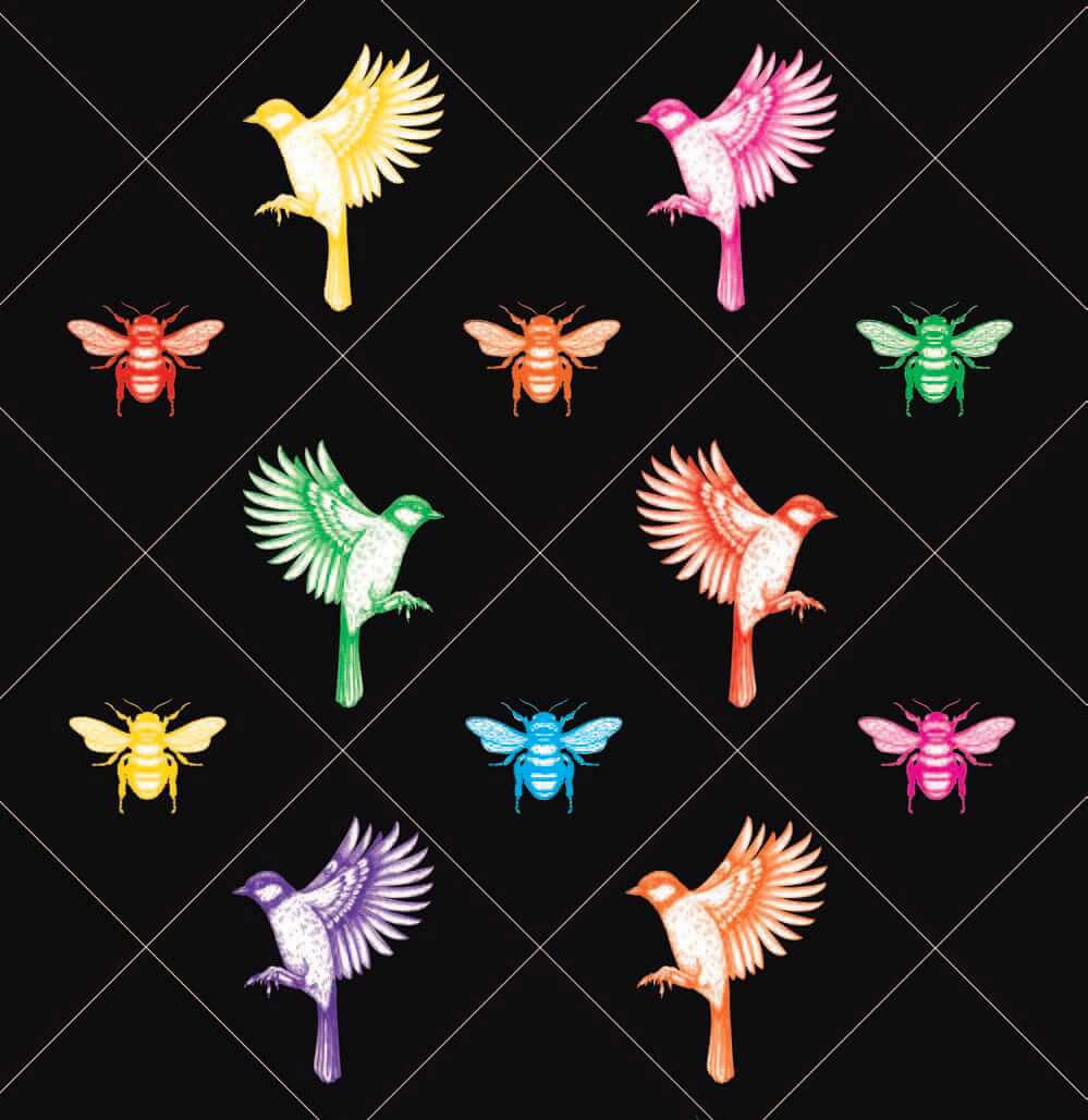 A collage of rainbow-coloured birds and bees against a black background.